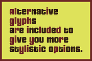 Nipok - Unicase Fancy Retro Display, a Font by Gravitype (Thumbnail 6 of 12)
