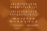 Nesty Elegant Serif Font, a Serif Font by Graphicxell (Thumbnail 8 of 8)