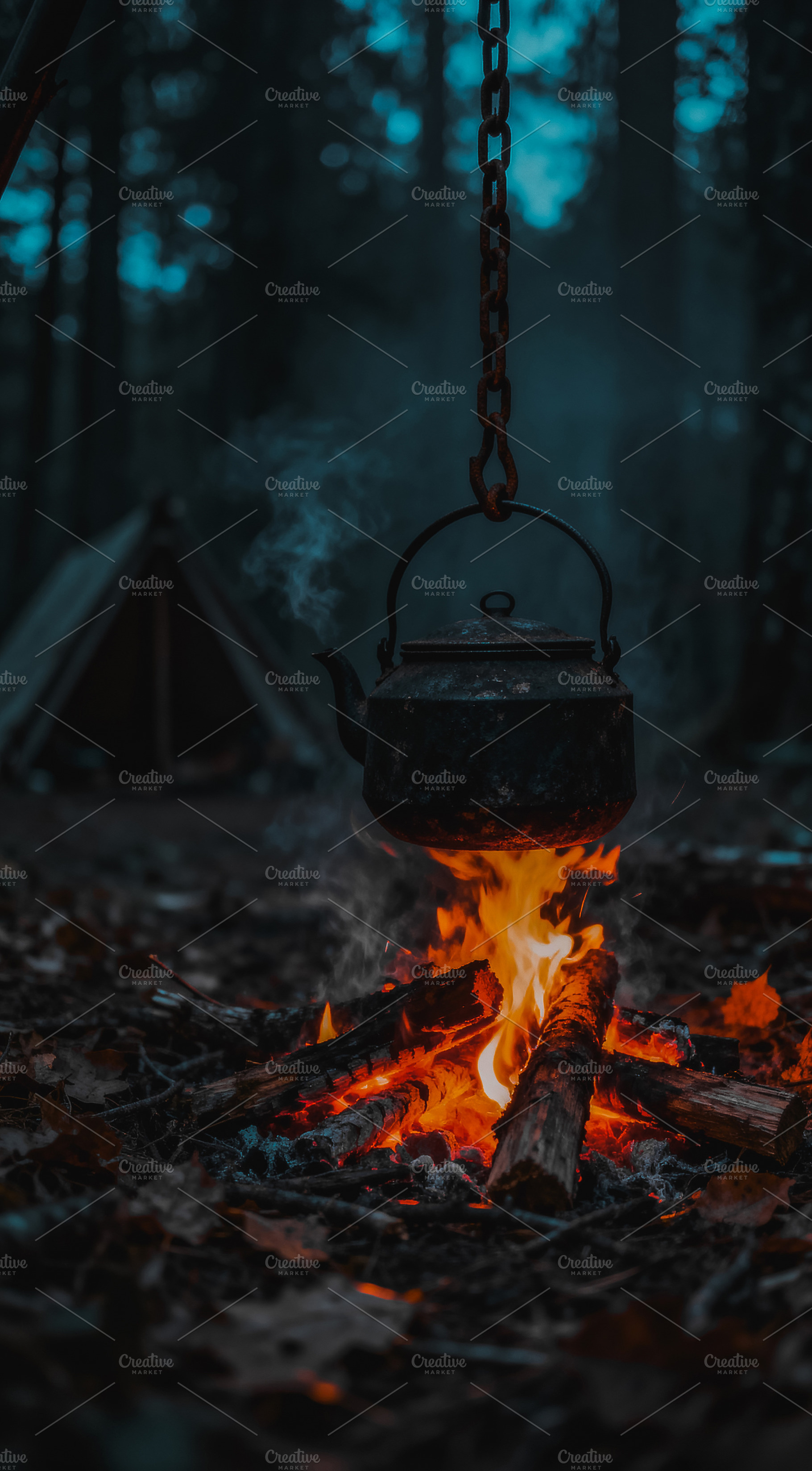 Cozy Campfire Kettle in Moody Forest, a Nature Photo by Virgo Studio