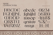 Hermis Soul Typeface, a Serif Font by alit design (Thumbnail 5 of 20)