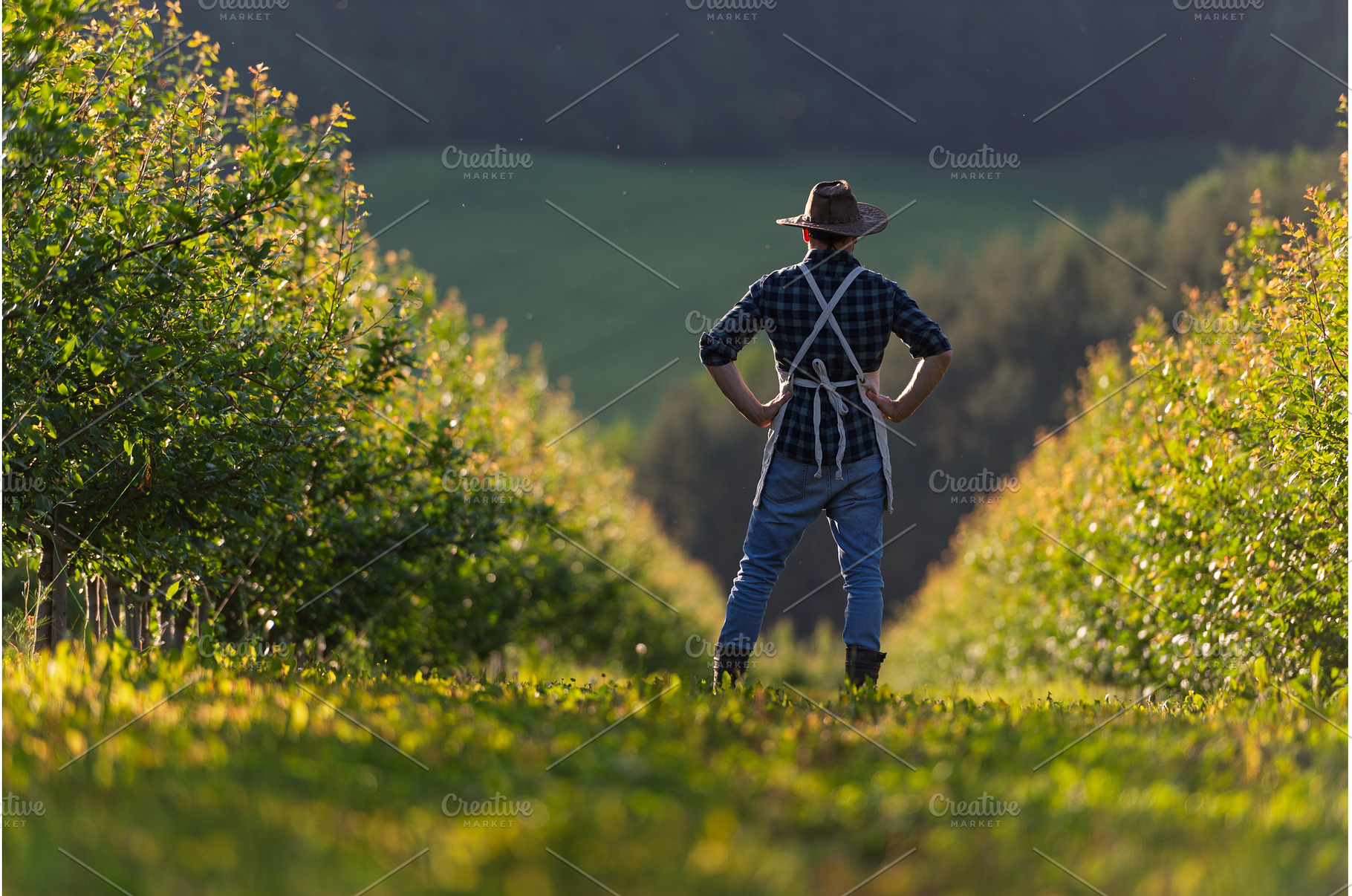 A mature farmer walking outdoors in, a Person Photo by HalfPoint