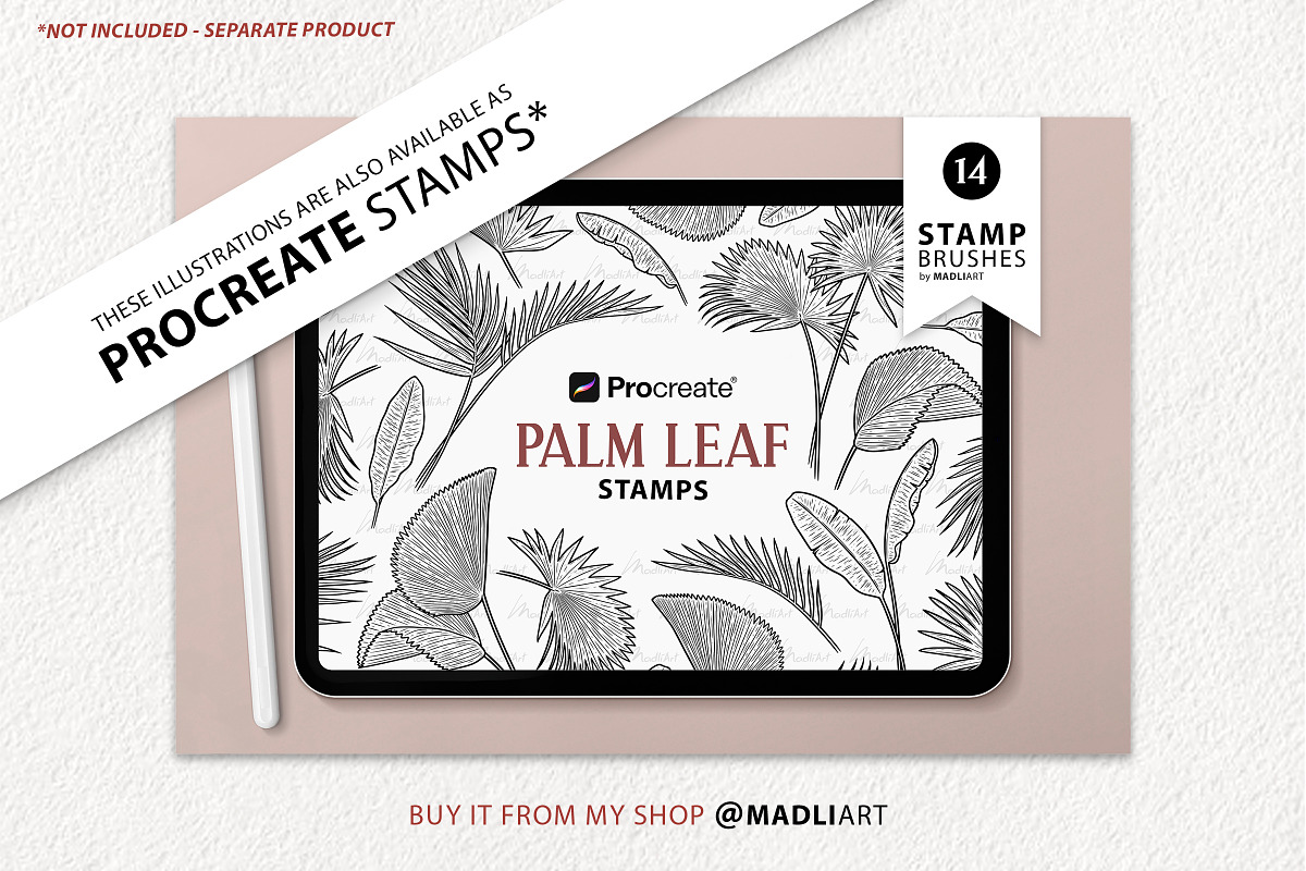 Palm Leaves Vector Line Art Set, an Illustration by MadliArt (Photo 4 of 4)