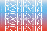 Amour Modern Display Logo Serif, a Sans Serif Font by Mila Garret (Thumbnail 3 of 27)