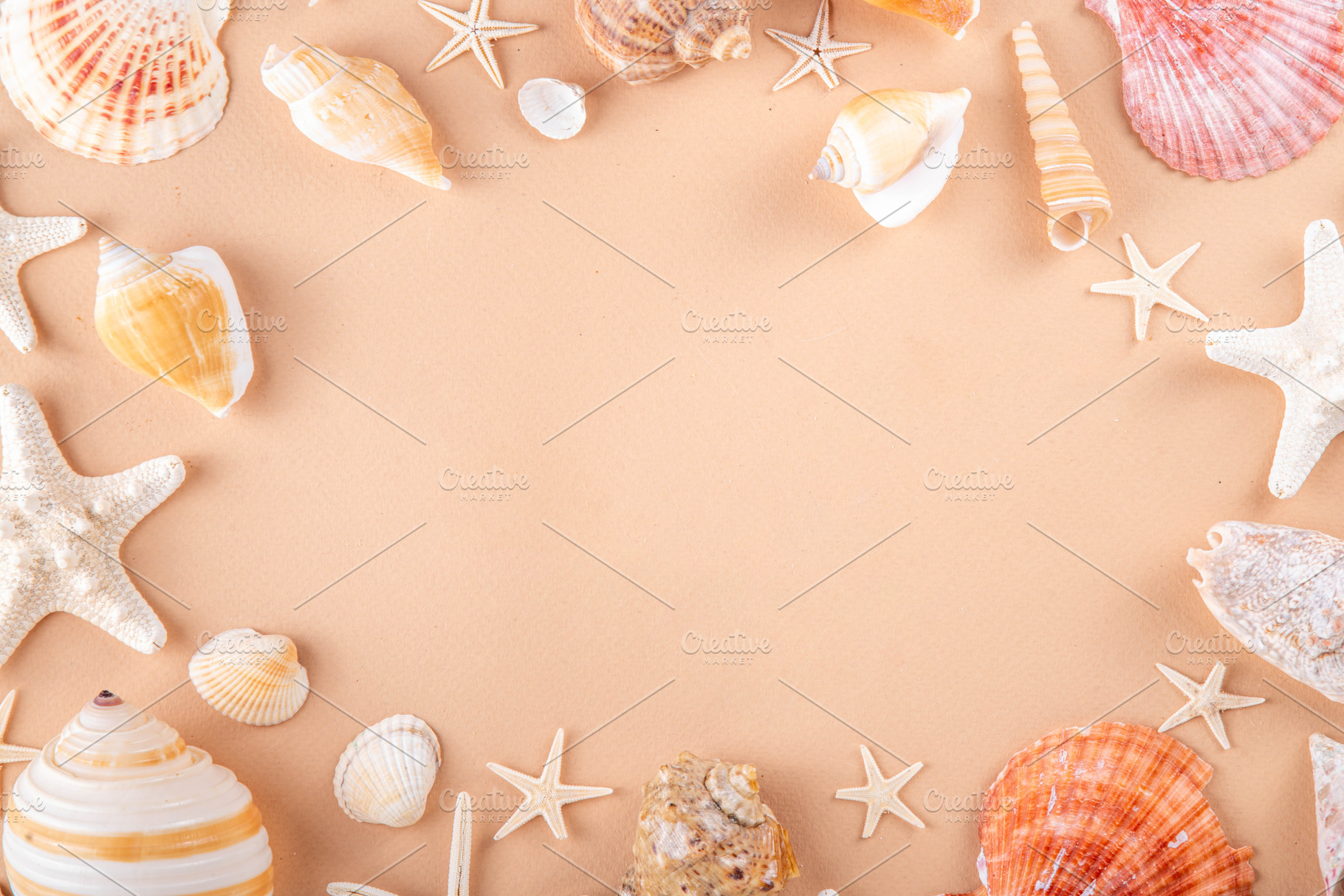 Simple minimal pattern background with seashells and starfish, a Photo by Rimma