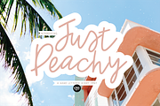 Hand Lettered Script Font Bundle, a Script Font by Blush Font Co. (Thumbnail 2 of 17)