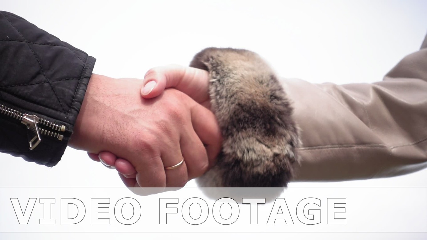 Handshake of man and woman on white background, a Background Graphic by ...