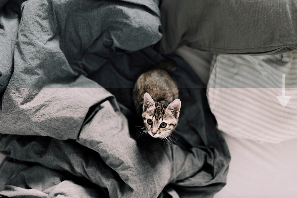 Minimalistic Preset.LightroomPresets, an Action Add-On by OceanChild (Photo 2 of 8)