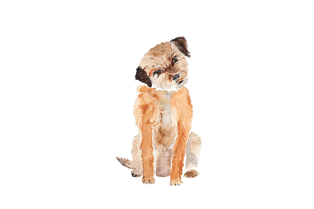 Watercolor Dog Bundle Border Terrier, an Illustration by Foxery Digital (Photo 4 of 4)