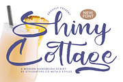 Shiny Cottage Modern Handbrush Font, a Script Font by stylishtype.co (Thumbnail 1 of 20)