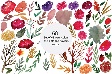 Plants and flowers, vector, an Illustration by risovanya