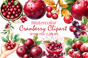 Watercolor Cranberry Clipart, an Illustration by Libby Wishes