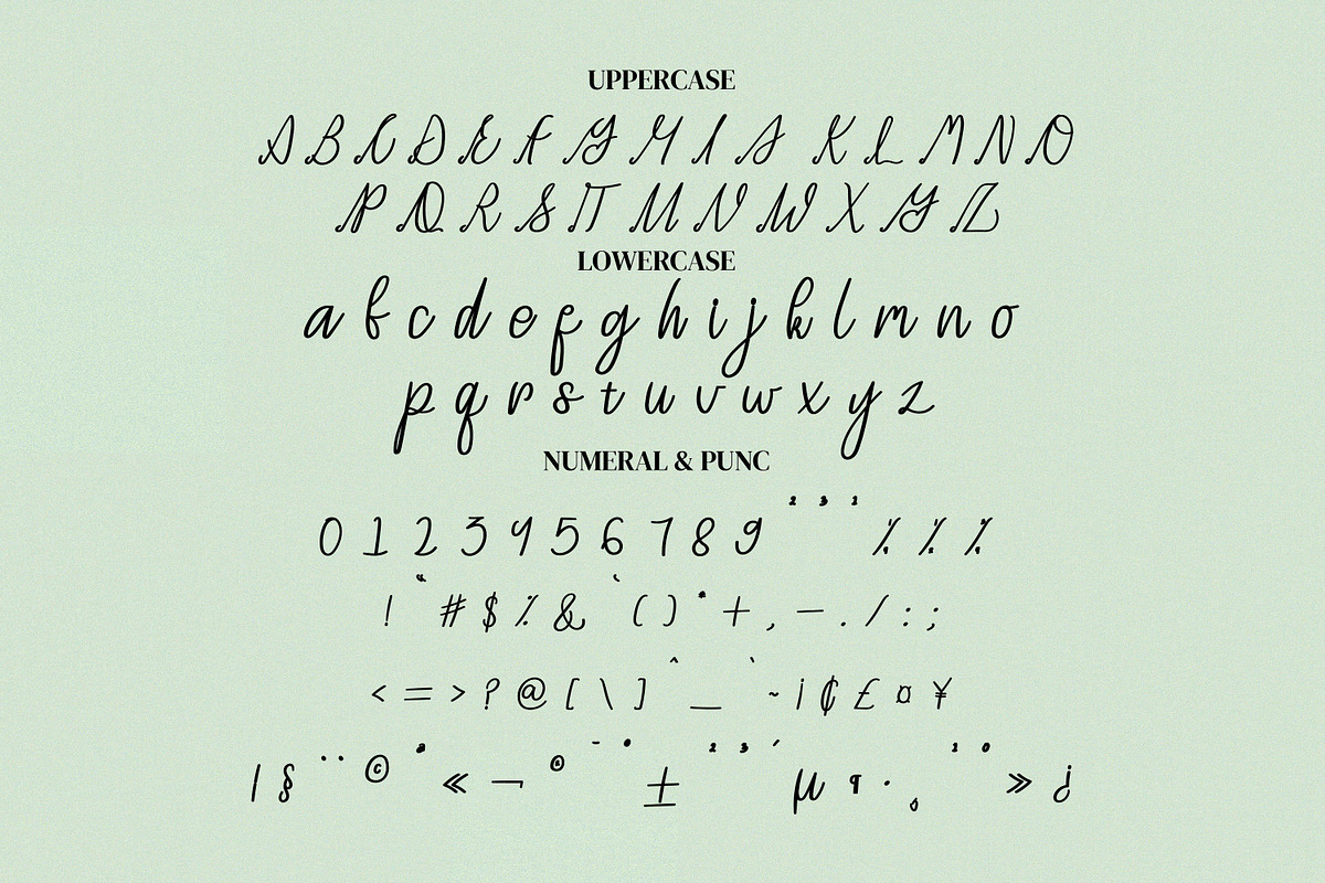 The Reason Script Fonts, a Script Font by mahstudios