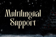 Christmas Fecsival – Elegant Serif, a Serif Font by Letterara (Thumbnail 14 of 15)