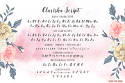 Clarisha Font Duo, a Script Font by Locomotype (Thumbnail 6 of 7)