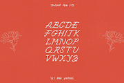 Baby Daisy | Hand Drawn Font, a Script Font by Tender Pen Co (Thumbnail 4 of 4)