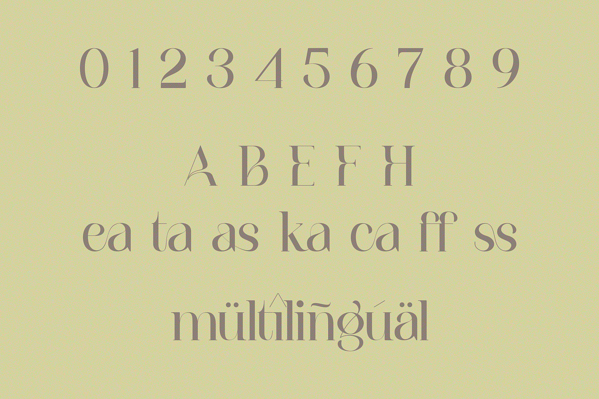 Eleanorth, a Serif Font by RT Studio (Photo 9 of 10)