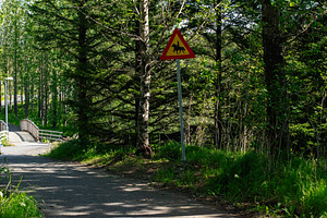 Scenic path in Mosfellsbær Iceland with caution sign in a lush forest, a Photo by AS photostudio
