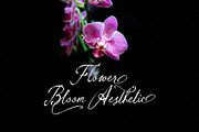 Nora Selira, a Script Font by Realtype (Thumbnail 8 of 8)