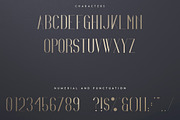 Irina Luxe Serif Font -30%, a Serif Font by VP Fonts (Thumbnail 8 of 9)
