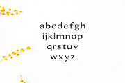 Erynn Serif Font, a Serif Font by Creativetacos (Thumbnail 3 of 5)