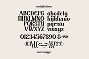 Tonight Show, a Serif Font by nurrontype (Thumbnail 13 of 14)