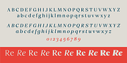 Vivala Marbod, a Serif Font by VivalaType (Thumbnail 12 of 13)