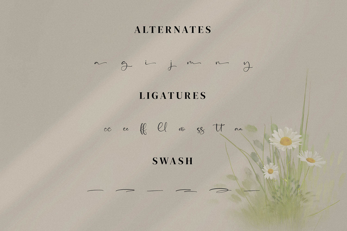 Asmeralka, a Script Font by Integritype Studio (Photo 10 of 14)