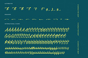 Higten Wasted Bold Handwritten Font, a Script Font by stylishtype.co (Thumbnail 19 of 20)