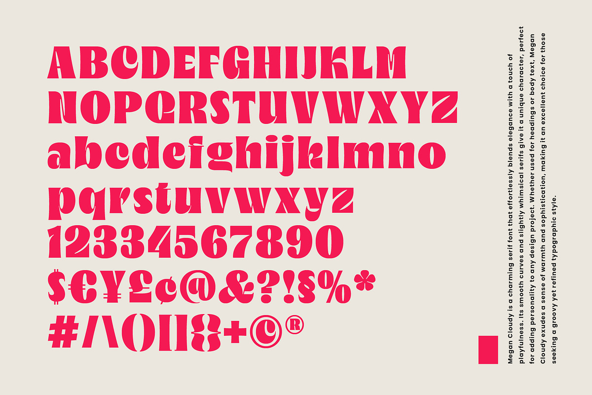 Megan Cloudy - Charming Serif, a Serif Font by Variatype (Photo 9 of 10)