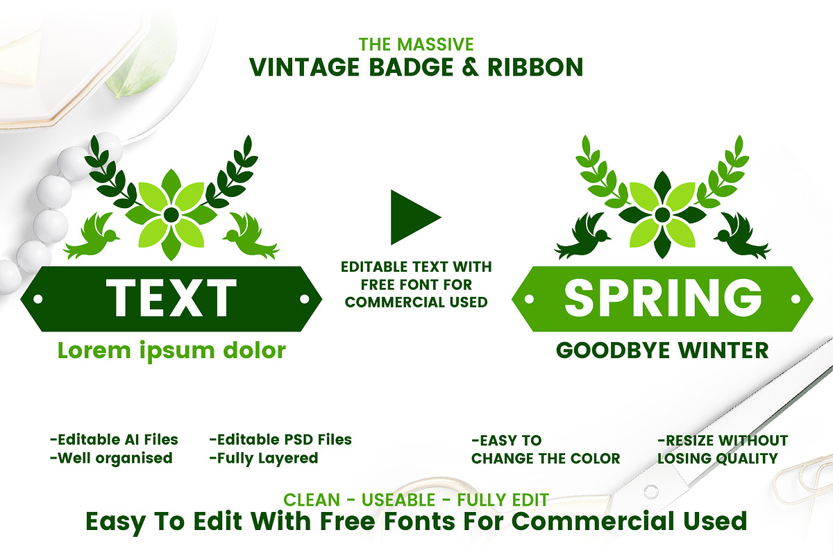 72 SPRING VINTAGE BADGE & RIBBON, a Branding & Logo Template by Toonsteb (Photo 2 of 12)