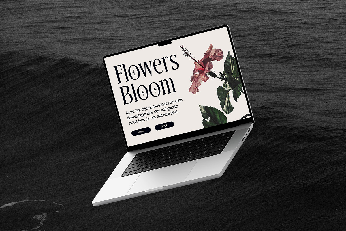 CS Quantine – Elegant Font, a Serif Font by Craft Supply Co. (Photo 6 of 8)