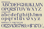 Ancestral Blueprint - Elegant Font, a Serif Font by 177Studio (Thumbnail 7 of 8)