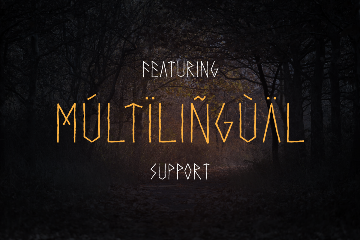 Harga Runic Pagan Font, a Font by Von Type Co (Photo 7 of 8)