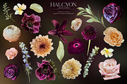 Halcyon Floral Art Collection, an Object Graphic by Eclectic Anthology (Thumbnail 12 of 17)