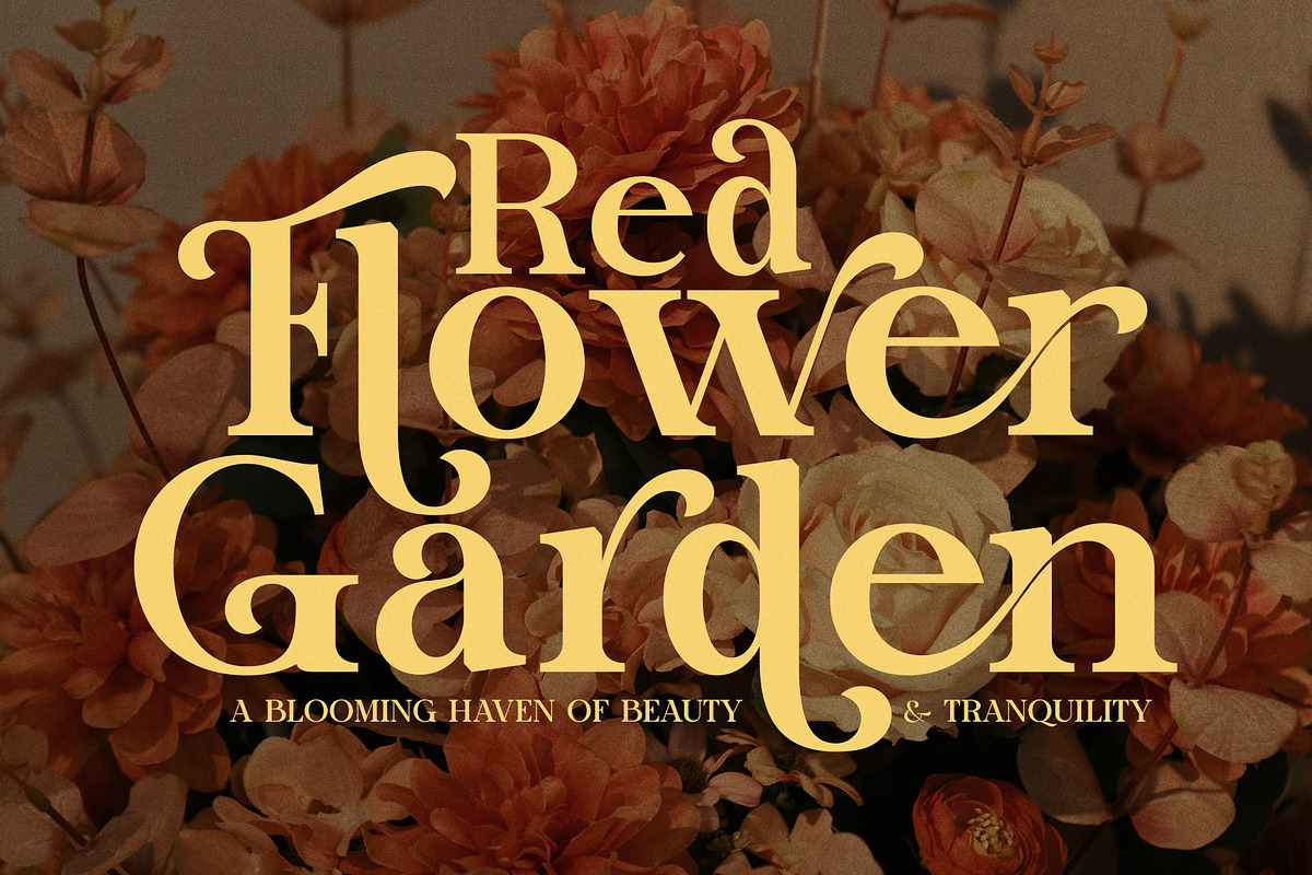 The Harmony Elegant Serif Font, a Serif Font by Graphicxell (Photo 3 of 8)