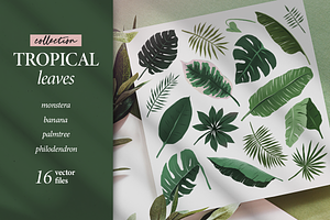 Tropical leaves collection