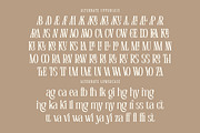 Frances Hickling, a Serif Font by Cruzine (Thumbnail 7 of 8)