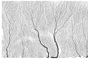 Growth - 50 Backgrounds, a Texture Graphic by GarryKillian (Thumbnail 47 of 51)