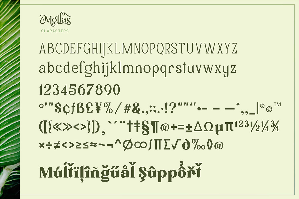 Mollas Typeface, a Serif Font by alit design (Photo 5 of 18)