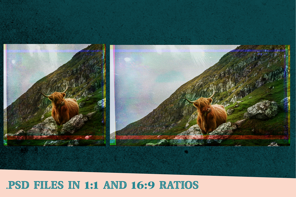 Vintage Film Photoshop Effect, a Preset Add-On by Salty Sweet Creative (Photo 2 of 9)
