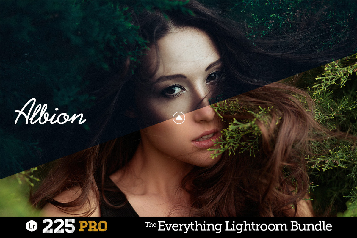 225 Lightroom Presets Bundle, an Action Add-On by Presetrain Co. (Photo 3 of 13)