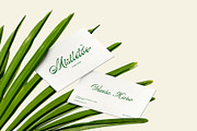 ED Lavonia - Classy Script, a Script Font by Emyself Design (Thumbnail 5 of 12)