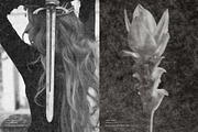 Kasane - Japanese Paper Overlays, a Texture Graphic by alonahaidash (Thumbnail 17 of 18)
