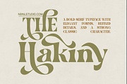 Hakiny – Serif Font, a Serif Font by NDNL Studio (Thumbnail 1 of 9)
