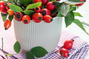 Fresh rose hips with green leaves overflowing a white cup, a Food & Drink Photo by Olena Rudo