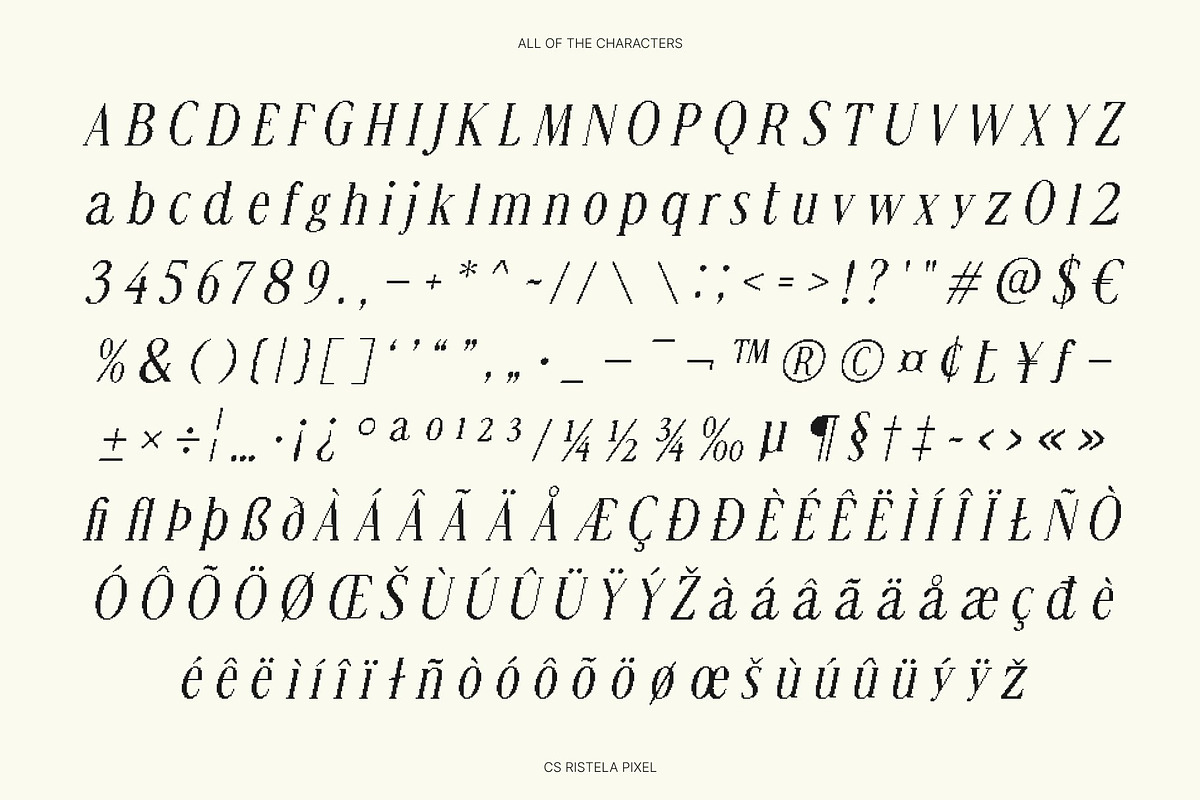 CS Ristela Pixel, a Serif Font by Craft Supply Co. (Photo 8 of 8)
