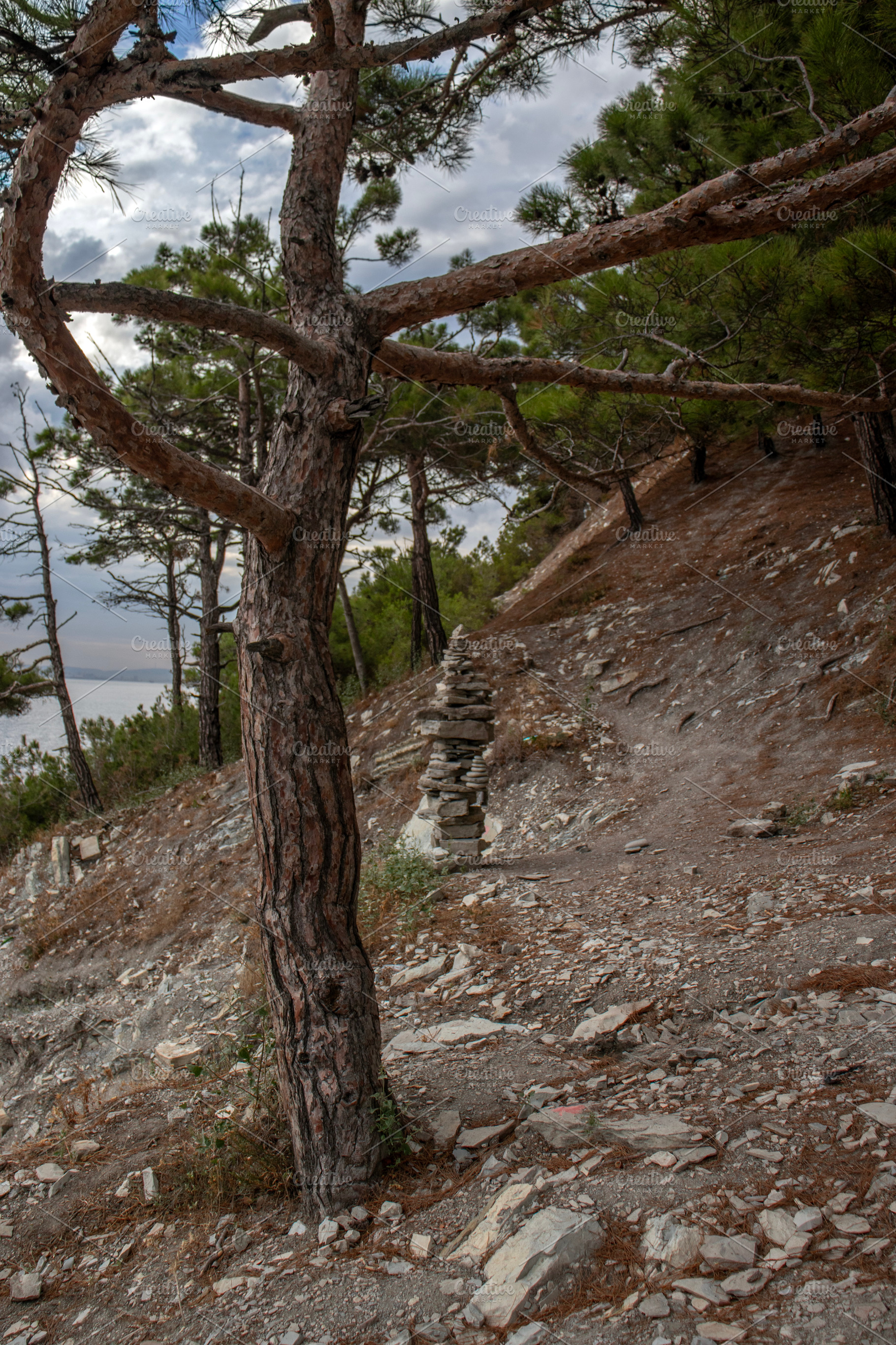 Rocky Hillside Landscape, a Nature Photo by Schreibikus