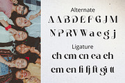 Better Vinegar - Beauty & Cosmetic, a Serif Font by Sohel Studio (Thumbnail 11 of 12)