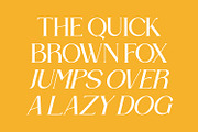Bravillie - Serif Typeface Font, a Serif Font by Rishsketch (Thumbnail 7 of 15)