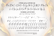 Baking | Script Font, a Handwritten Font by Scratchones (Thumbnail 7 of 9)